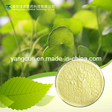 Natural Extract 98% Asiaticoside